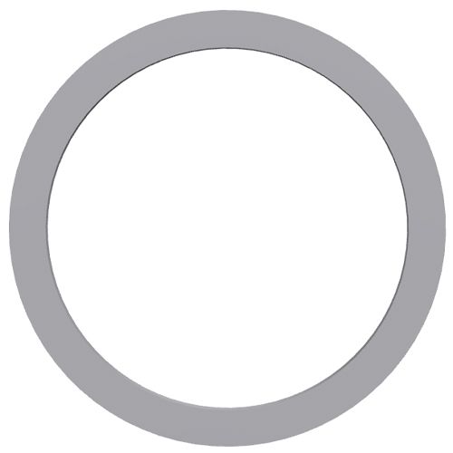 Perkins Washer 012656