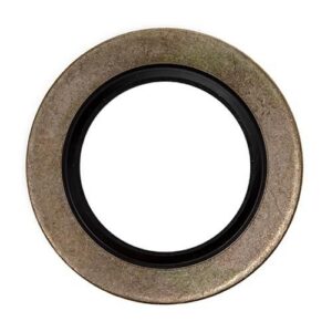 Perkins Washer 025100016