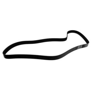 Perkins Belt,Fan 1819392C2
