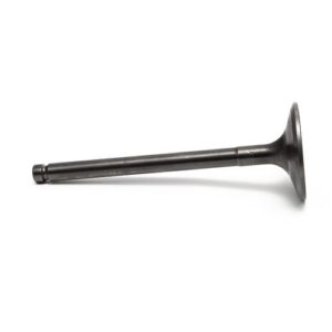 Perkins Valve Inlet 3142H071