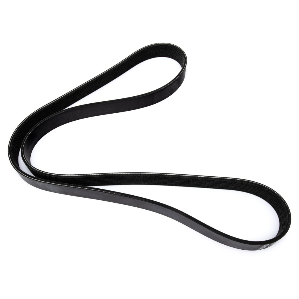 Perkins Belt 3652970