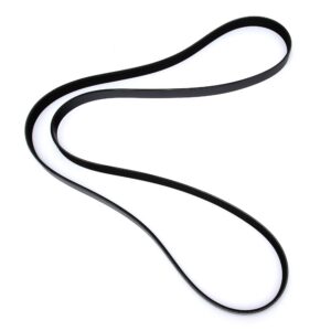 Perkins Belt 3748474