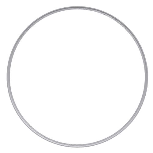 Perkins Belt 3830673
