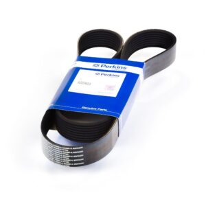 Perkins Belt 4220653