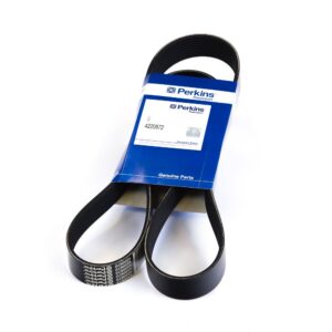 Perkins Belt 4220672
