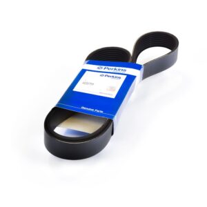 Perkins Belt 4220751