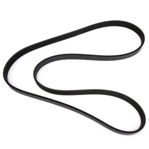 Perkins Belt 5203850