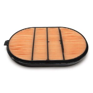 Perkins Air Fitr.Elemen 5576101