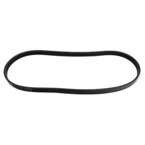 Perkins Belt 5643013