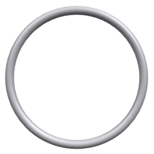 Perkins O Ring CH10098