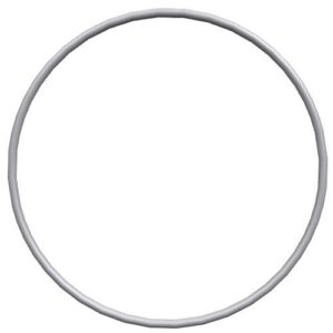 Perkins O Ring CH10126