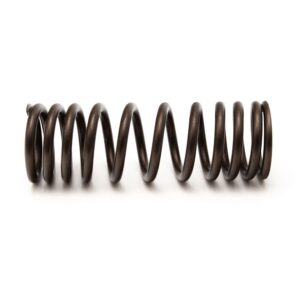 Perkins Spring CH11489