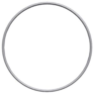 Perkins O Ring CH11619