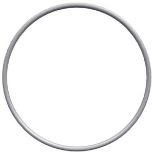 Perkins O Ring CH12132