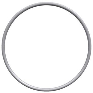 Perkins O Ring CH12437