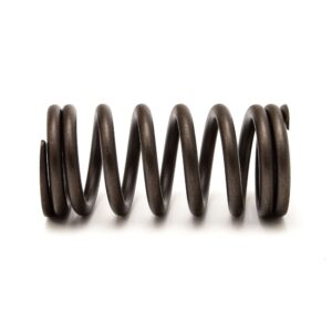 VALVE SPRING - CH12798