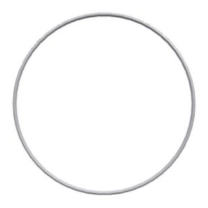 Perkins O Ring T401910