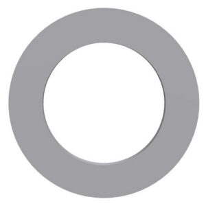 Perkins Washer T405649