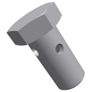 Perkins Banjo Bolt T411845