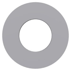 Perkins Washer T412190