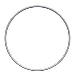 Perkins O Ring T430168