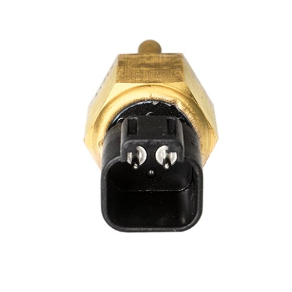 Perkins Switch W85720580